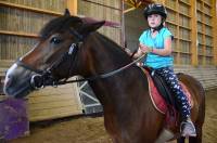 Une dizaine d&#039;enfants sur les poneys au centre équestre