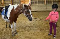 Une dizaine d&#039;enfants sur les poneys au centre équestre