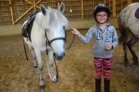 Une dizaine d&#039;enfants sur les poneys au centre équestre