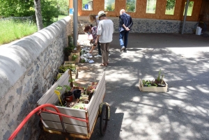 Retournac : ils ont échangé leurs plants et leurs bons plans