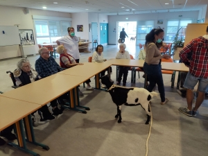 Yssingeaux : de la médiation animale à l&#039;hôpital Jacques-Barrot pour la Semaine bleue