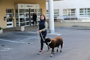 Yssingeaux : de la médiation animale à l&#039;hôpital Jacques-Barrot pour la Semaine bleue