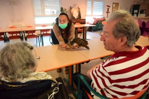 Yssingeaux : de la médiation animale à l&#039;hôpital Jacques-Barrot pour la Semaine bleue