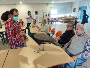 Yssingeaux : de la médiation animale à l&#039;hôpital Jacques-Barrot pour la Semaine bleue