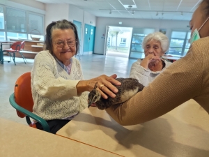 Yssingeaux : de la médiation animale à l&#039;hôpital Jacques-Barrot pour la Semaine bleue