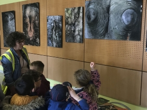 Beauzac : des écoliers visitent l&#039;expo photos sur les arbres à la Dorlière