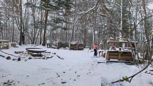 Le Petit Bois sous la neige