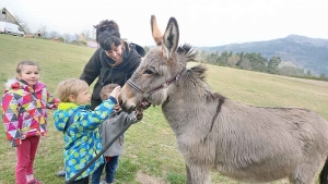 Rencontre avec les animaux de la ferme