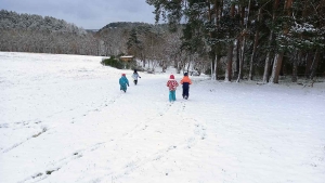 Trajet jusqu&#039;au Petit Bois sous la neige