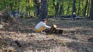 Jeu libre au Petit Bois