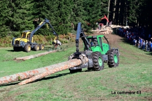 Vis ma vie de bûcheron : une balade en forêt le 31 juillet à Saint-Bonnet-le-Froid