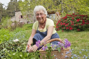 Riotord : à la découverte des herbes sauvages alimentaires le 25 juillet