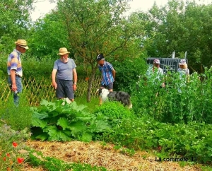 Yssingeaux : un atelier pour tout savoir sur paillage et compost le 19 février