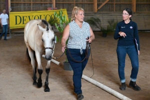 Yssingeaux : 37 chevaux au concours modèles et allures