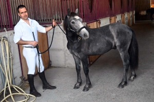 Yssingeaux : 37 chevaux au concours modèles et allures