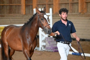 Yssingeaux : 37 chevaux au concours modèles et allures