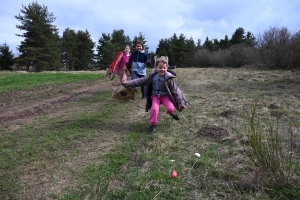 Aux Vastres, la chasse aux oeufs de la bergerie a trouvé son public