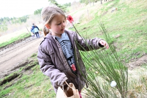 Aux Vastres, la chasse aux oeufs de la bergerie a trouvé son public