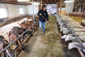 Aux Vastres, la chasse aux oeufs de la bergerie a trouvé son public