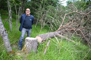 Beauzac : plusieurs propriétaires déplorent des coupes sauvages d'arbres