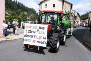 Riotord : les mondes de Disney traversent les rues du village (vidéo)