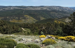 Bas-en-Basset : quatre étapes en VTT en Lozère pour le club Cyclo 43210