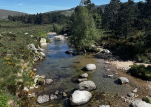 Bas-en-Basset : quatre étapes en VTT en Lozère pour le club Cyclo 43210