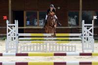 Deux cents cavaliers au concours CSO de saut d&#039;obstacles