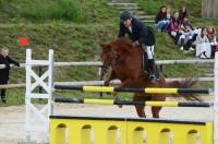 Deux cents cavaliers au concours CSO de saut d&#039;obstacles