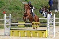 Deux cents cavaliers au concours CSO de saut d&#039;obstacles