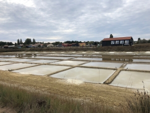 Crédit CCAS de Monistrol-sur-Loire