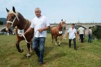 Retournac : 19 juments qualifiées pour le Sommet de l&#039;élevage à Cournon