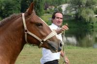 Paul Faure élève des chevaux de la race bretonne.