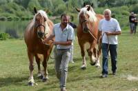 Retournac : 19 juments qualifiées pour le Sommet de l&#039;élevage à Cournon