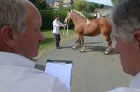 Le jury se compose de trois personnes.