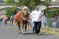 Denis Sahuc passe Daisy des sucs devant le jury.