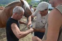 La chaîne des chevaux a cassé : réparation immédiate.