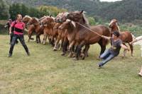 Pour le prix de famille, on rassemble tous les générations d&#039;une même lignée. Photo Lucien Soyère