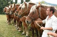 Pour le prix de famille, on rassemble tous les générations d&#039;une même lignée, comme ici l&#039;élevage de Jacques Issartel. Photo Lucien Soyère