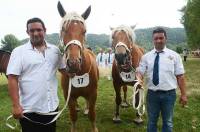 Mickaël et Sébastien Chambon avec Eclaireuse du Chausse et Elegante de Veyrac, qualifiées pour Cournon.