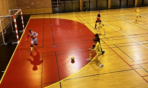 Futsal jeunes : Langeac, Brives et Loire Mézenc vainqueurs de la coupe départementale