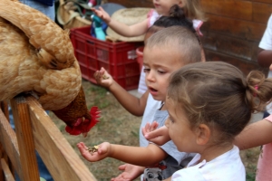 Une ferme s&#039;invite à la crèche de Bas-en-Basset