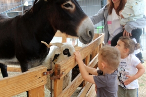 Une ferme s&#039;invite à la crèche de Bas-en-Basset