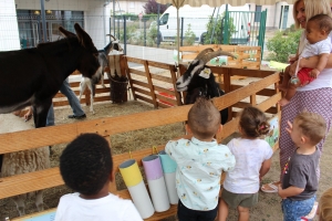 Une ferme s&#039;invite à la crèche de Bas-en-Basset