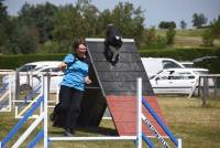 Yssingeaux : 71 chiens à l&#039;épreuve de l&#039;agility