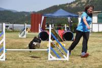 Yssingeaux : 71 chiens à l&#039;épreuve de l&#039;agility