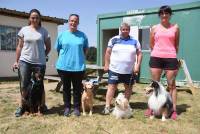 Yssingeaux : 71 chiens à l&#039;épreuve de l&#039;agility