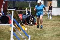 Yssingeaux : 71 chiens à l&#039;épreuve de l&#039;agility