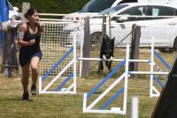 Yssingeaux : 71 chiens à l&#039;épreuve de l&#039;agility