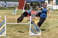 Yssingeaux : 71 chiens à l&#039;épreuve de l&#039;agility